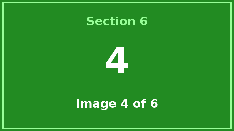Windows Programs example 4