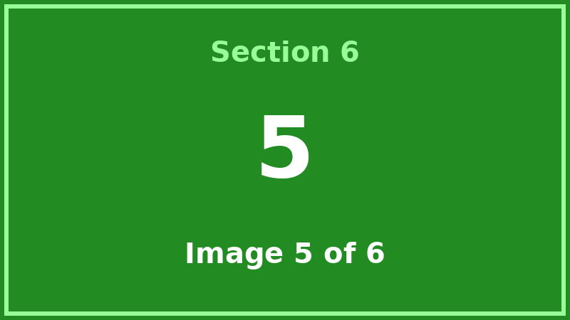 Windows Programs example 5